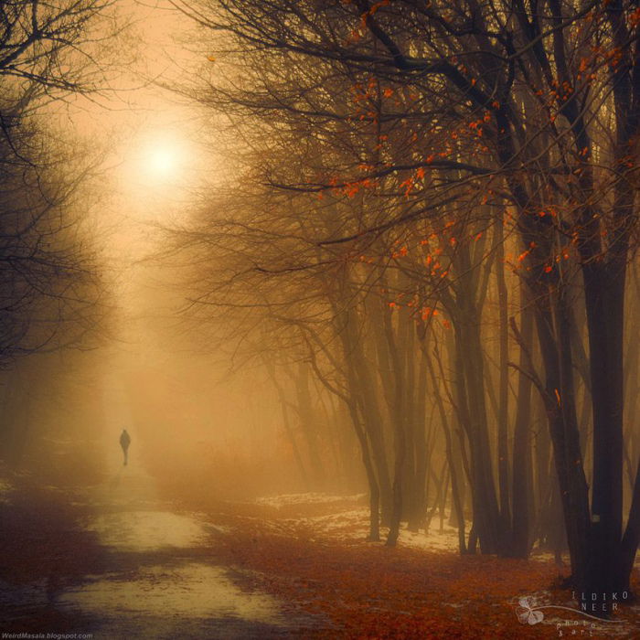 art by Ildiko Neer