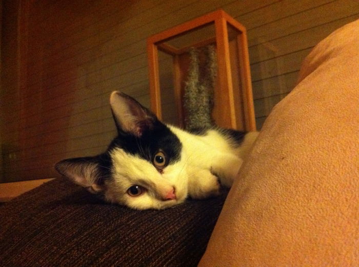 Ich habs faustdick hinter den Ohren! ;)