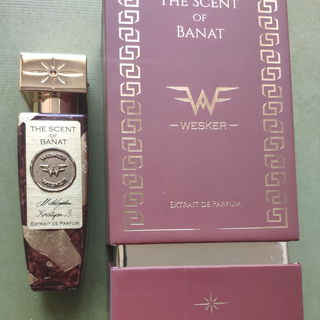 Wesker - T.S.of Banat...