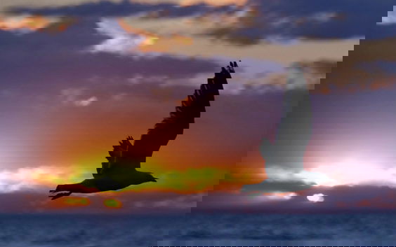 cause I am  free as a bird now ....