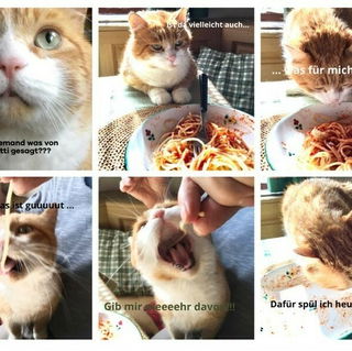 Adieu, mein kleiner Fre...