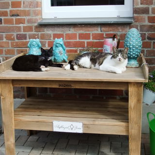 Cleotilde und Snuggle i...