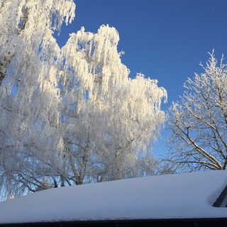 14.2.2021 So schön heu...