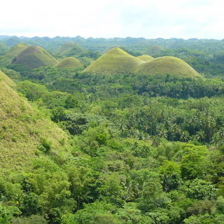 Die Chocolate Hills nac...