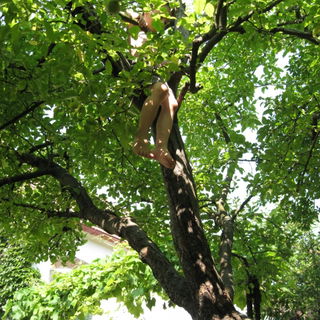 Einfach mal die Beine b...