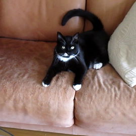 Ganz klar - das Sofa ge...