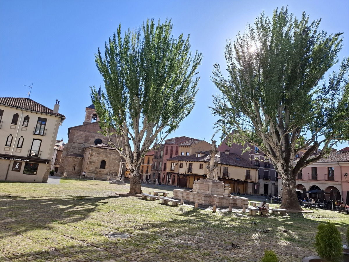 León X
