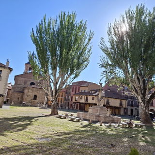 León X