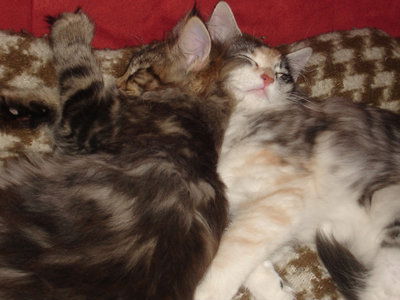 Flavi & Zoe