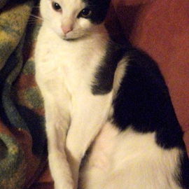 Meine Melly