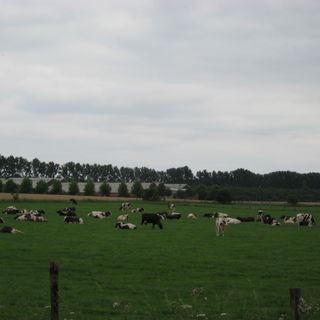 Kaffeekränzchen auf de...