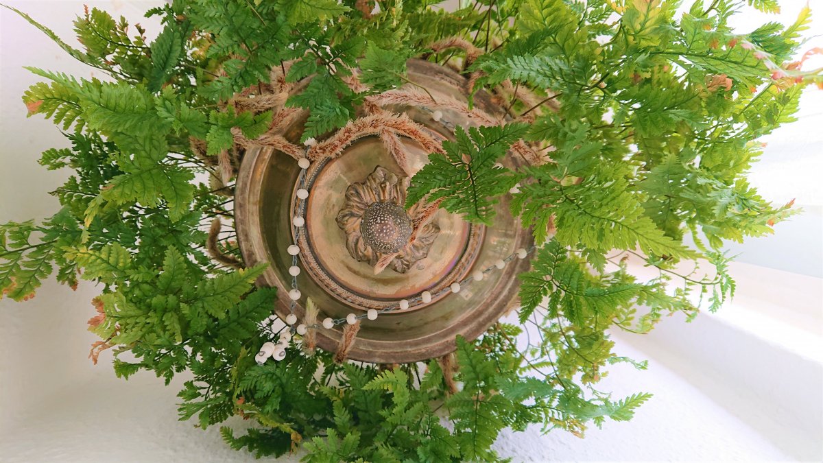 Farn + Bowledeckel = Blumenampel