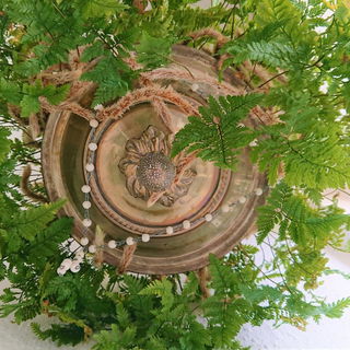 Farn + Bowledeckel = Bl...