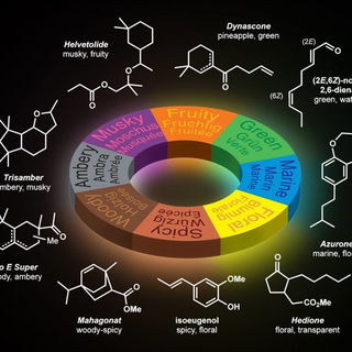 Die Duftrichtungen und ...