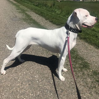 Meine #1