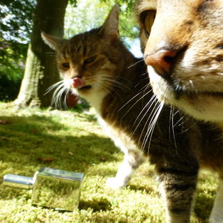 Fotosession? Wir helfen...