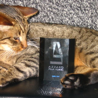 Ein Duft so wild wie di...