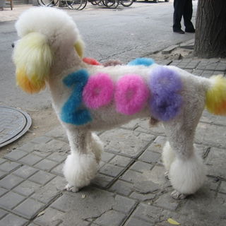 ... Hund