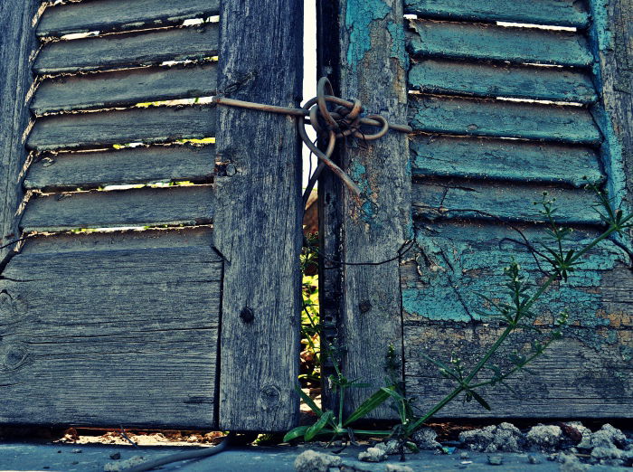 Fading summer...