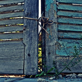 Fading summer...