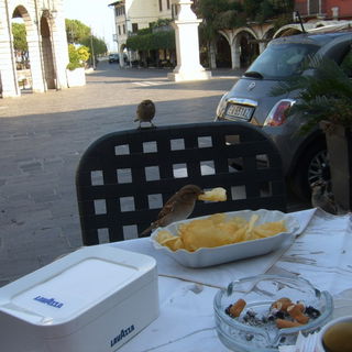 Hey Kumpel, eigentlich ...