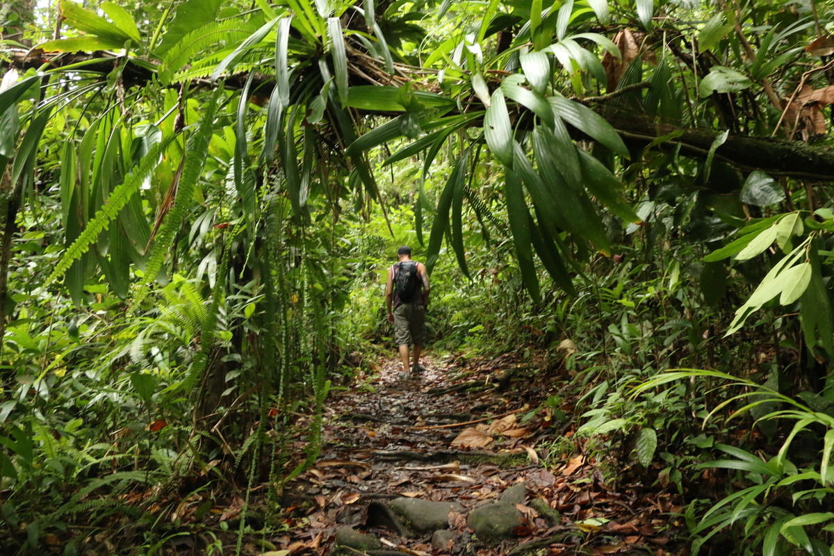 Guadeloupe