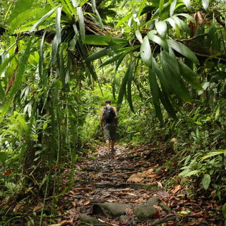 Guadeloupe