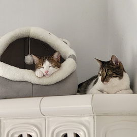 Unser Familienzuwachs M...