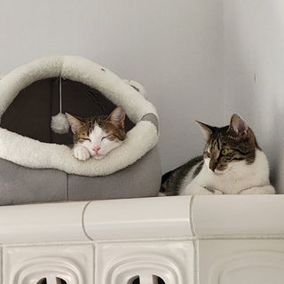 Unser Familienzuwachs M...