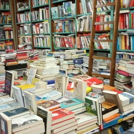 Mit Büchern leben