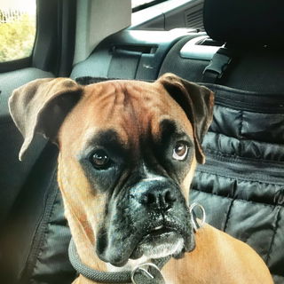 wo fahrn wir denn jetzt...