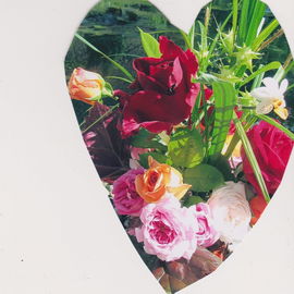 Quer durchs Rosenbeet...