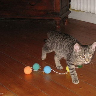 Baby-Ti. Damals hatte e...