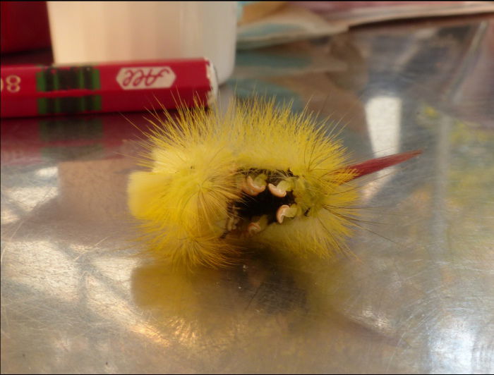 Ja, wen haben wir denn da?