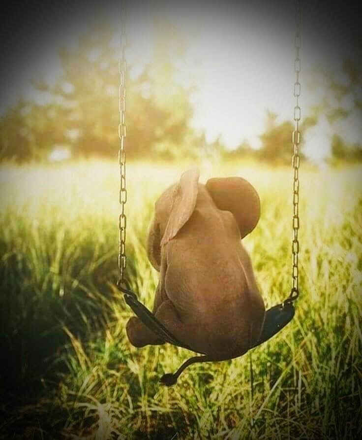 Protect Life…https://www.youtube.com/watch?v=ki3a_bS5Y9Y