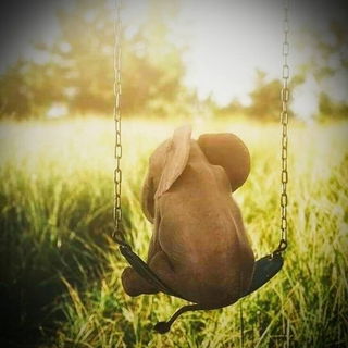 Protect Life…https://...