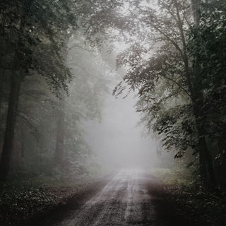 Göttinger Stadtwald