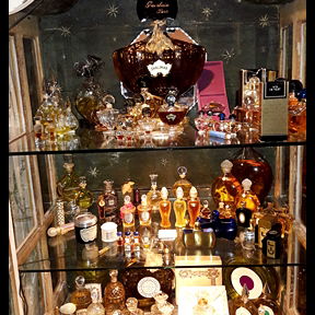 Endlich haben meine Gue...