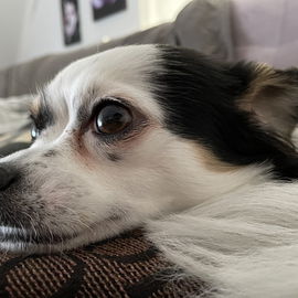 ❤️❤️❤️