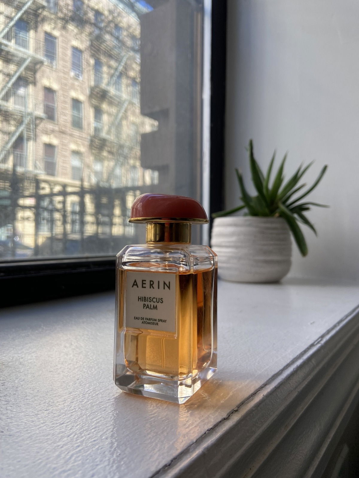 Aerin - Hibiscus Palm; a sophisticated, tropical scent with great performance. Even with its tropical feel, I think it would work well in cooler weather as well. So pretty and elegant, and I can’t wait to wear it more this summer.