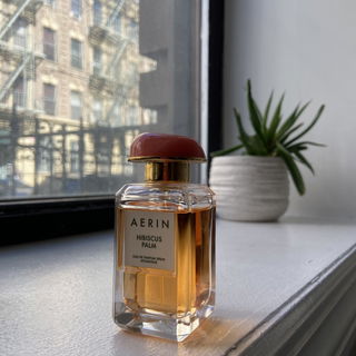 Aerin - Hibiscus Palm; ...