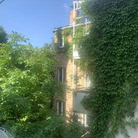 Blick vom Balkon, mein ...