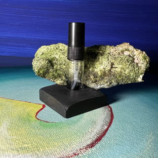 Mit Moos bewachsener Ba...