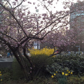 Frankfurt, 11.03.2014 1...