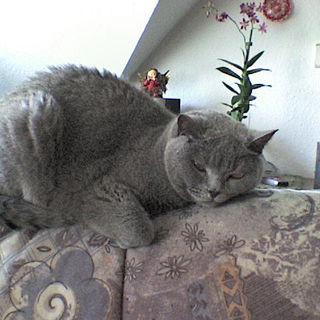 Moritz, schon wieder d�...