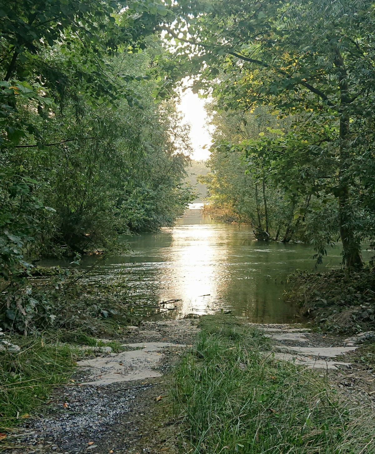 "Auf zu neuen Ufern" ~Rhein, 2021