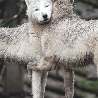 Ich halt' dich ganz fes...