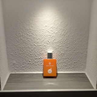 Orange Flamingo | Marc ...