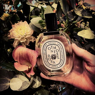 Das Foto wurde abgelehn...