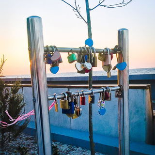 Wo das Herz ist (Kolber...